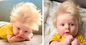 Le sosie bébé de Boris Johnson - L'histoire du petit David aux cheveux blonds_