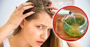 Le thé vert est le secret pour prévenir la chute de cheveux et accélérer leur pousse final