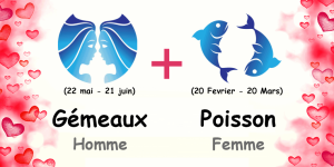 combinaisons des signes du zodiaque