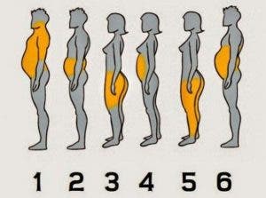 Les 6 types de graisses corporelles et comment s’en débarrasser