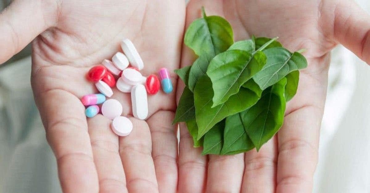Les 7 médicaments les plus prescrits dans le monde et leurs équivalents naturels