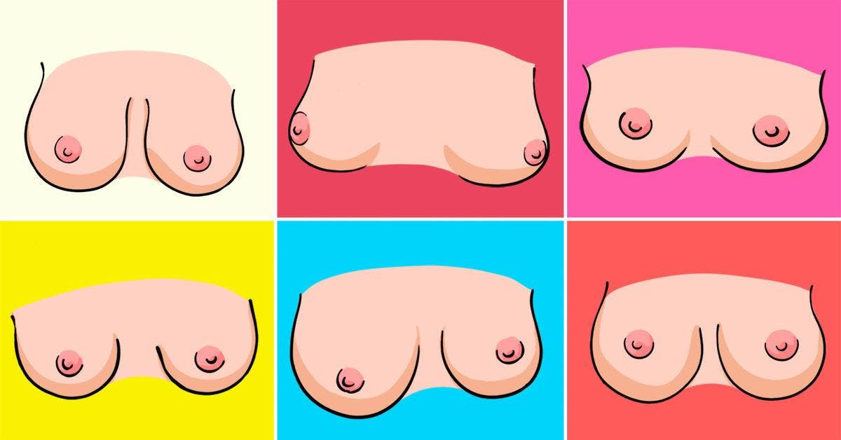 Les 8 types de seins dans le monde cover final