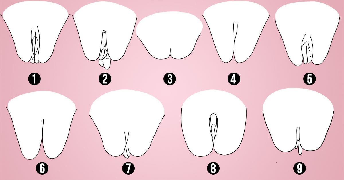 Les 9 différents types de vagin : Guide complet 2023