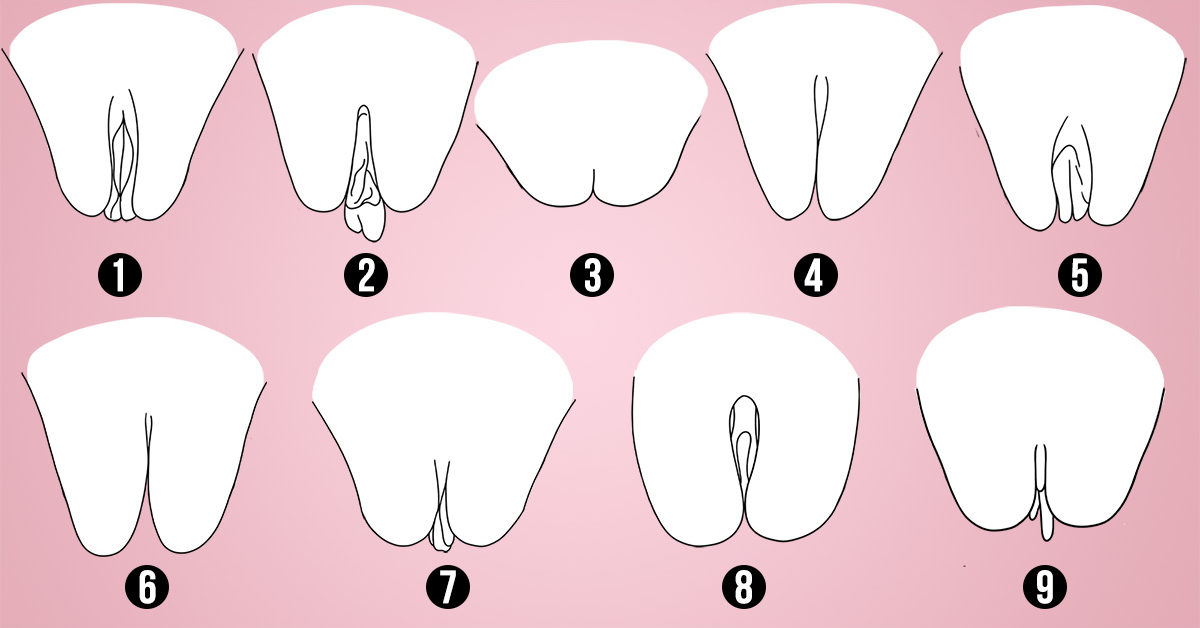 Formatos De Vagina Tout Sur Le Vagin Anatomie Et volution Du Vagin Formatos De Vagina Tout Sur Le Vagin Anatomie Et volution Du Vagin