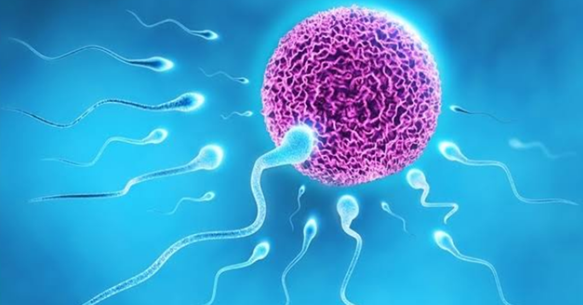 Les bienfaits scientifiquement prouvés du sperme sur la santé