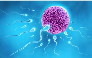 Les bienfaits scientifiquement prouvés du sperme sur la santé