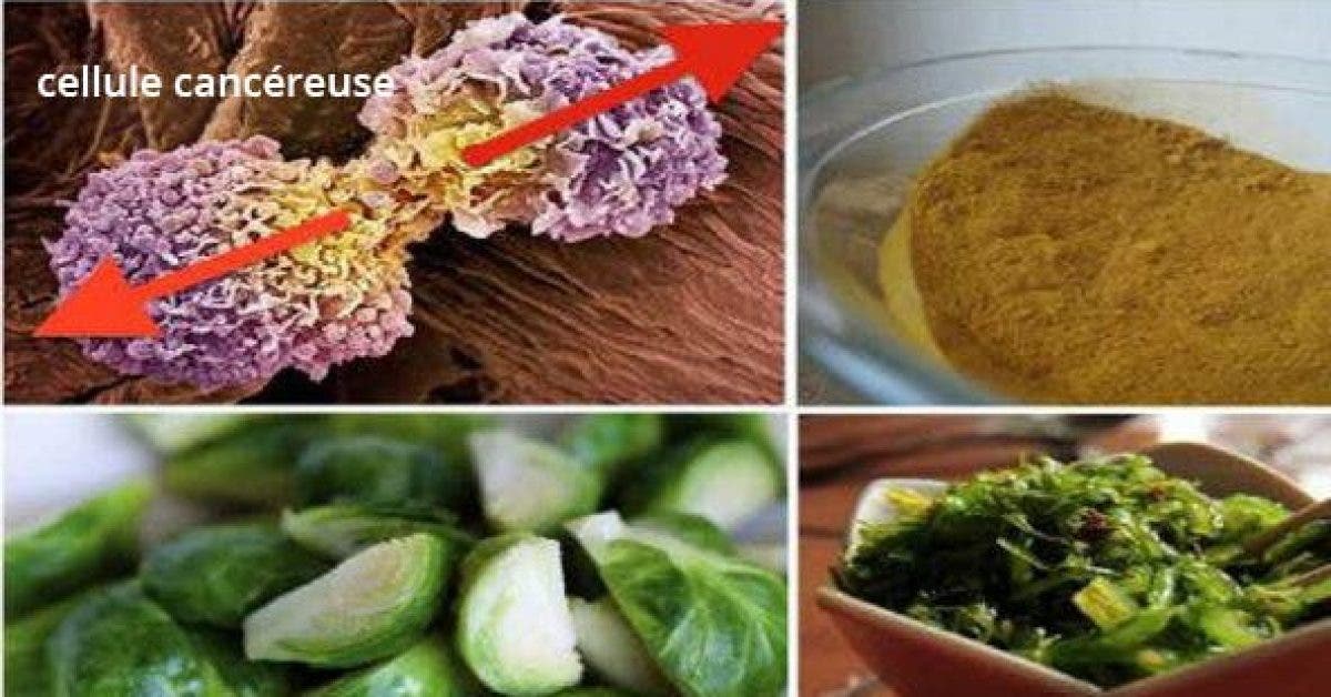 Les cellules cancéreuses détestent ces 6 aliments