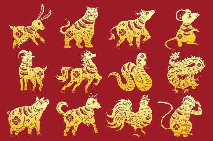 The twelve Chinese zodiac signs