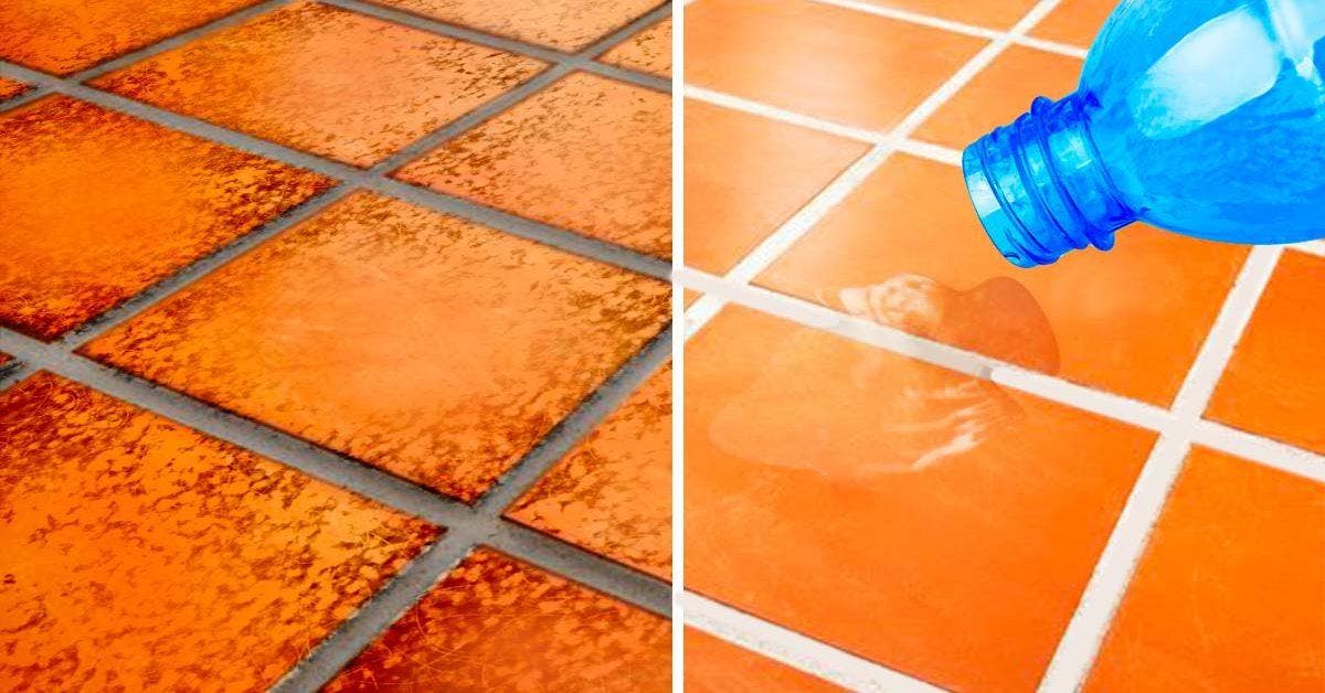 Astuces nettoyage joints carrelage : meilleures recettes & techniques