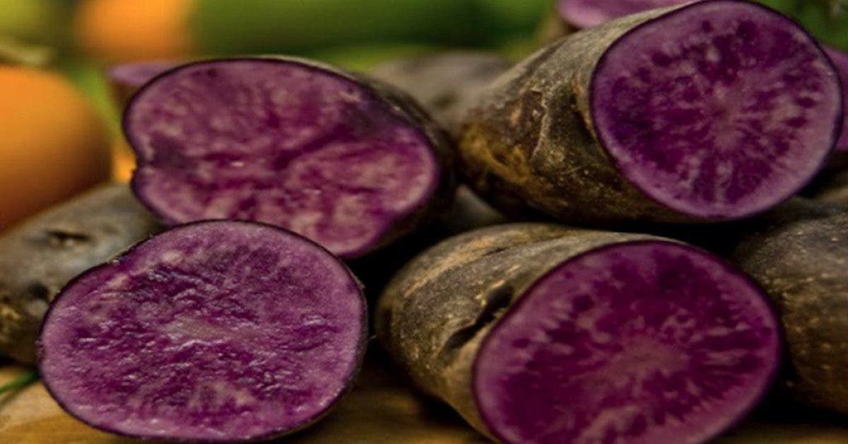 Les patates douces violettes