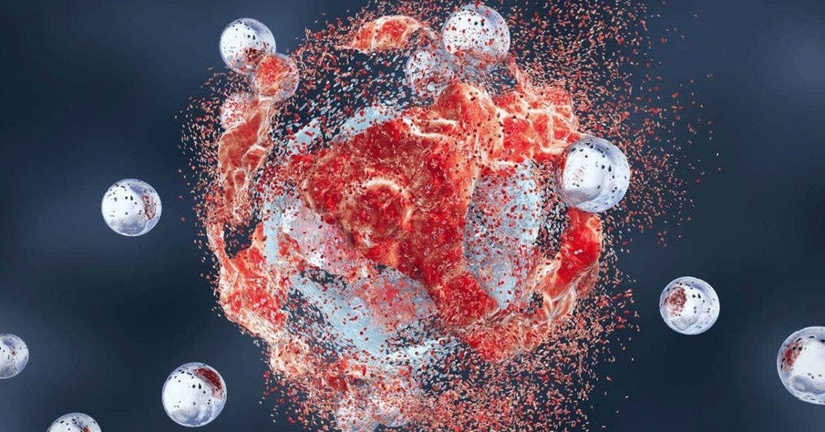 Les scientifiques viennent de découvrir un moyen de détruire n’importe quel type de cellule cancéreuse