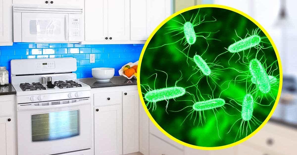 L'objet de la maison qui contient le plus de bactéries001