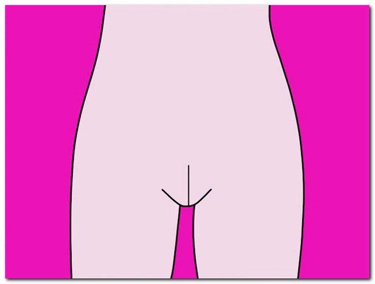 Madame Barbie - Voici les différents types de vagin récemment mis à jour : le guide complet 2023
