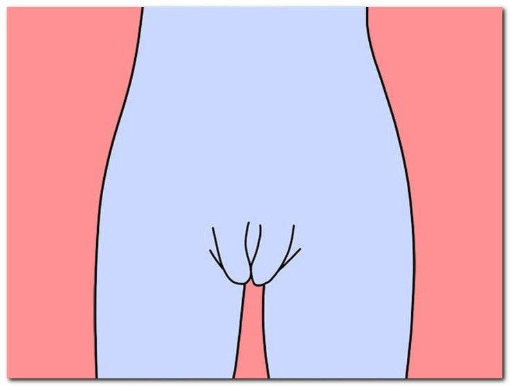 Madame fer a cheval - Voici les différents types de vagin récemment mis à jour : le guide complet 2023