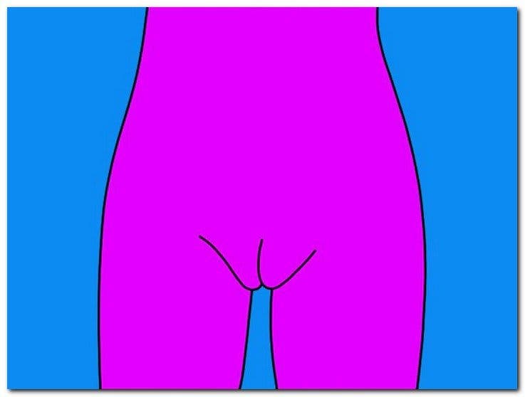 Madame joufflue - Voici les différents types de vagin récemment mis à jour : le guide complet 2023