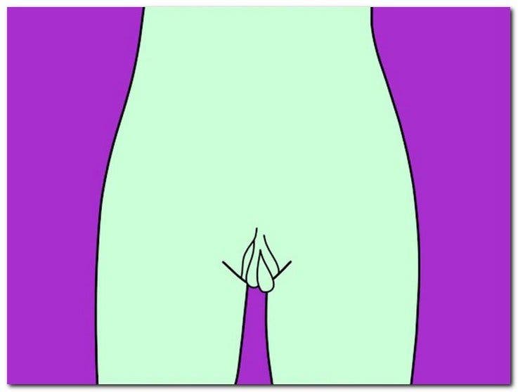 Madame rideaux - Voici les différents types de vagin récemment mis à jour : le guide complet 2023
