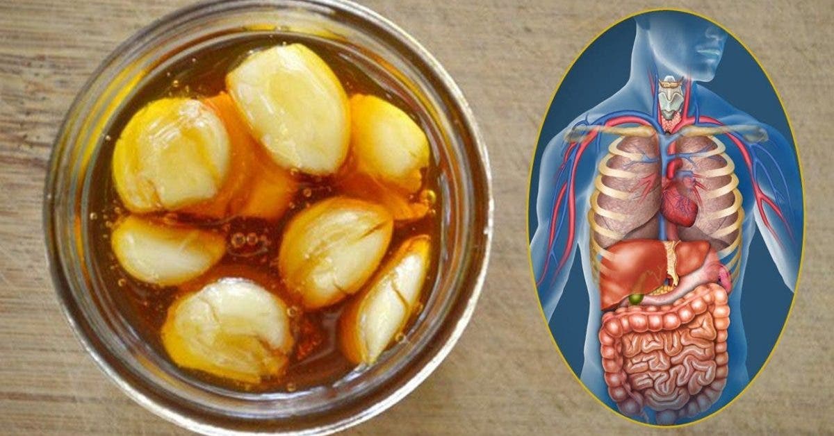 Mangez de l'ail et du miel sur un estomac vide pendant 7 jours et regardez ce qui arrive à votre santé