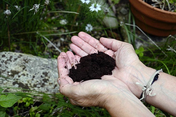 café molido para plantas