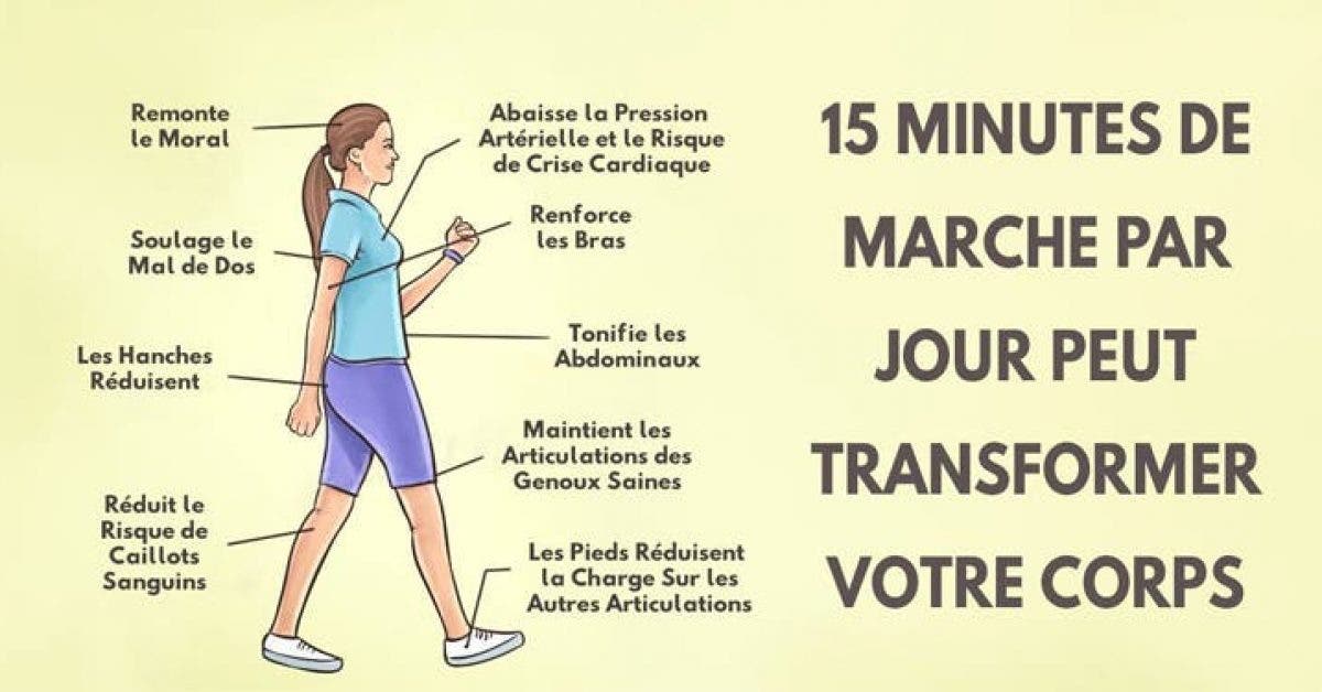 Marcher 15 minutes par jour peut changer votre corps et votre sante 1