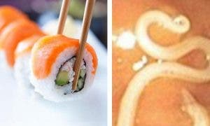 Mauvaise nouvelle pour les amateurs de sushi