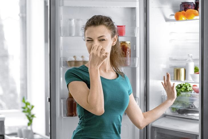 Bad smells in the fridge