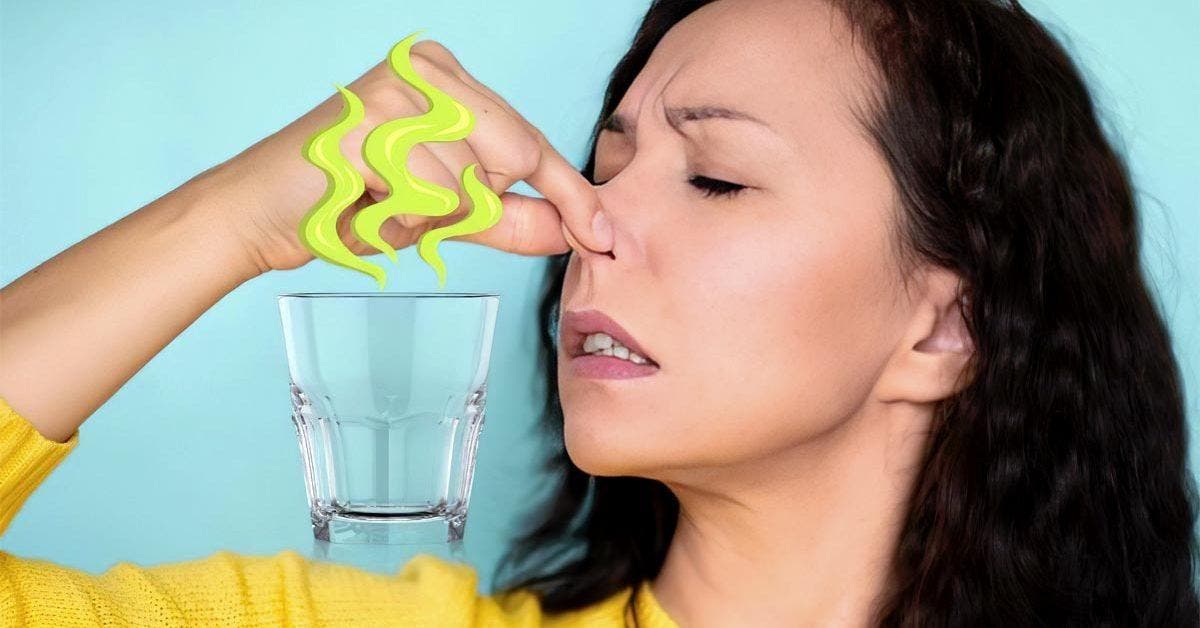 Mauvaise odeur dans les verres comment l’enlever après un lavage à la main ou au lavevaisselle