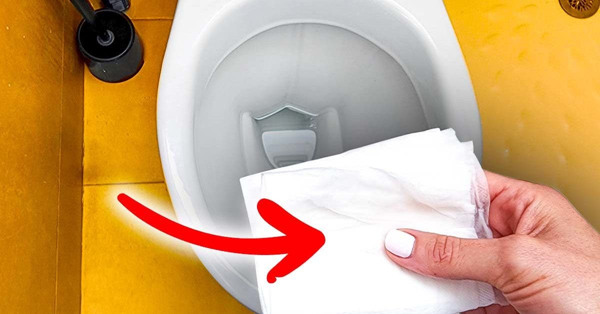 Mettez du papier toilettes imbibé de vinaigre dans les toilettes et laisser toute la nuit. L’effet est magique