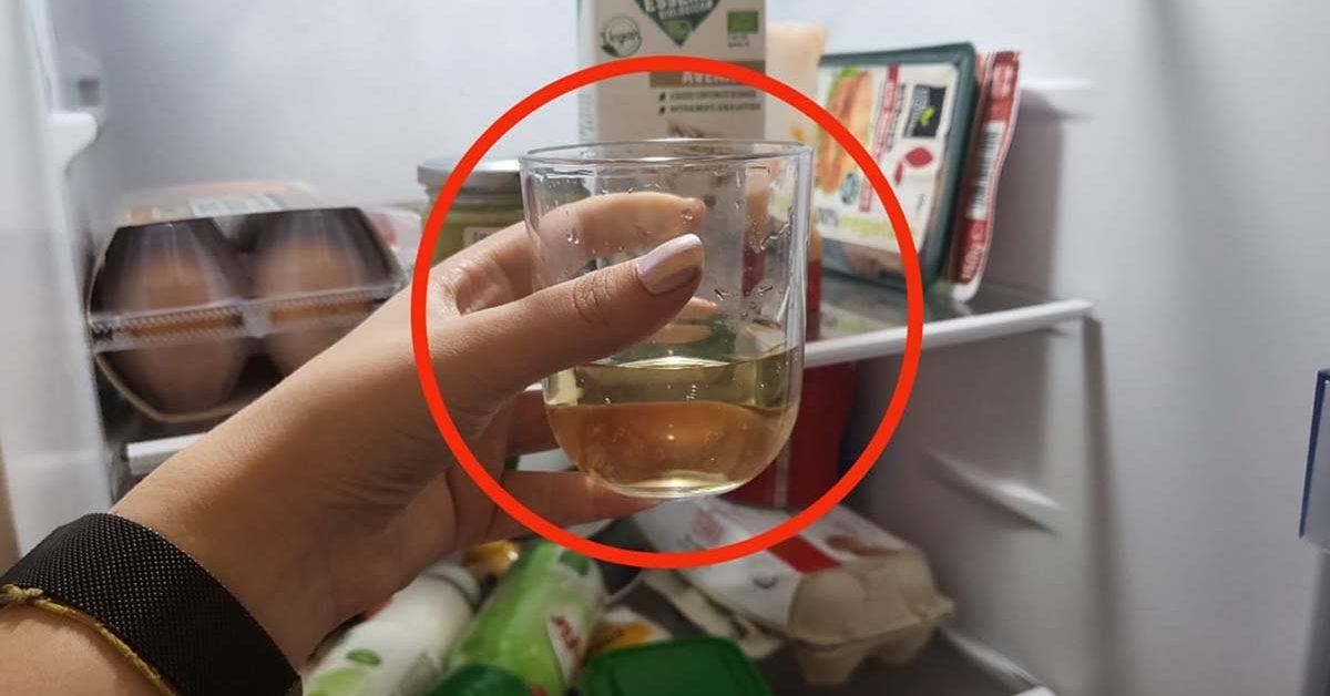 Put vinegar in the fridge: the trick to solving a common problem