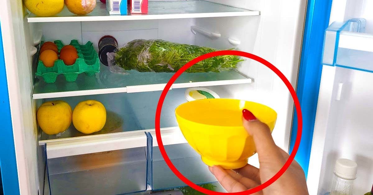 Mettez un verre de bicarbonate au frigo : l’astuce qui vous évite beaucoup d'ennuis