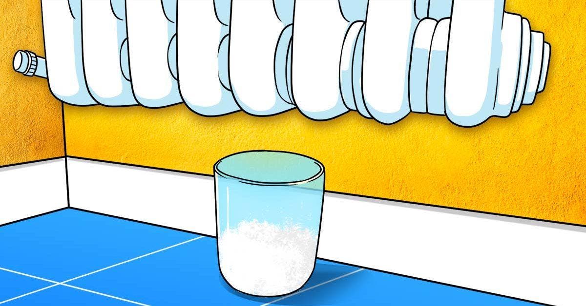 Mettez un verre de sel sous le radiateur final