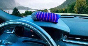 Mettez une chaussette remplie de litière pour chat dans la voiture001