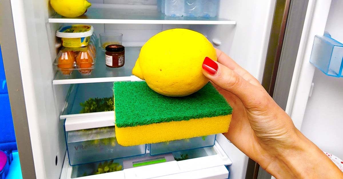 Mettez une éponge imbibée de jus de citron dans le réfrigérateur001