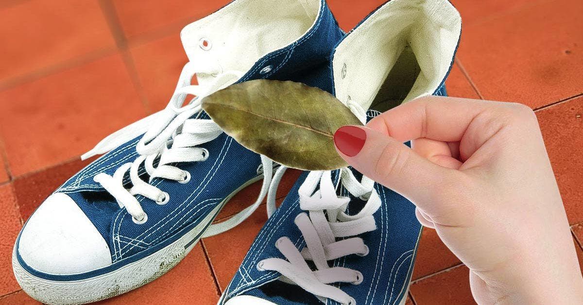 Mettez une feuille de laurier dans vos chaussures pour résoudre un problème que nous avons tous