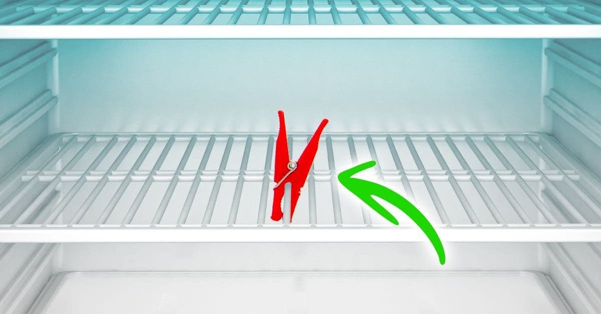 Mettez une pince à linge au réfrigérateur vous vous débarrasserez de ce problème pour de bon