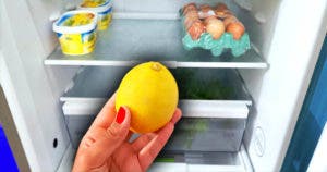 Mettez une tranche de citron au frigo cela suffit à résoudre un grand problème