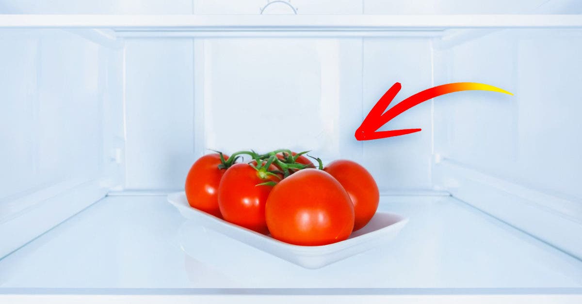 Mettez vous les tomates au réfrigérateur _ Voici pourquoi il faut les sortir maintenant_