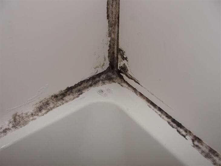 mold in bathroom 1