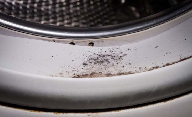 mold in the washing machine