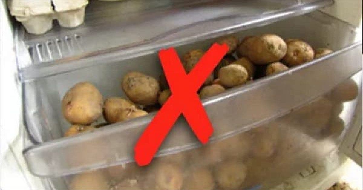Ne mettez plus vos pommes de terre au refrigerateur 1