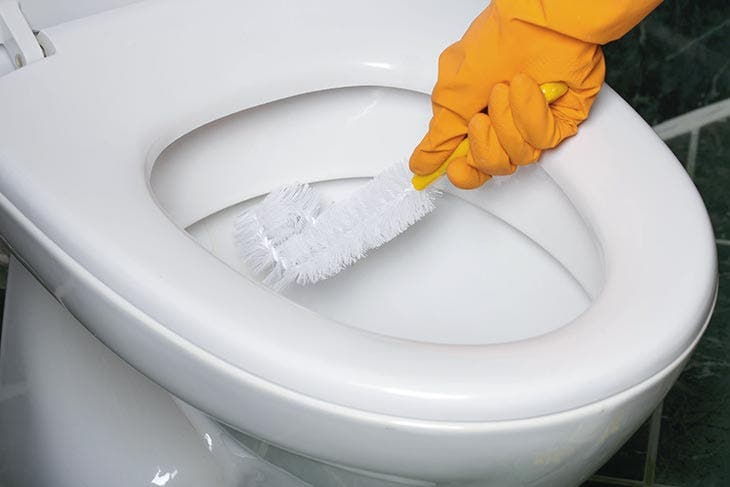 Clean the bowl with a toilet brush