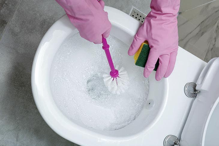 Nettoyer la cuvette des toilettes. source : spm