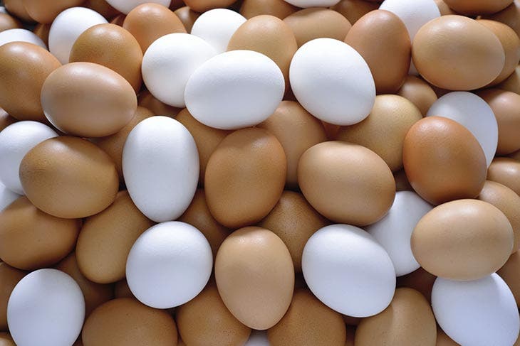 Brown eggs and white eggs