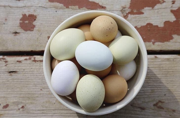 Huevos de diferentes colores.