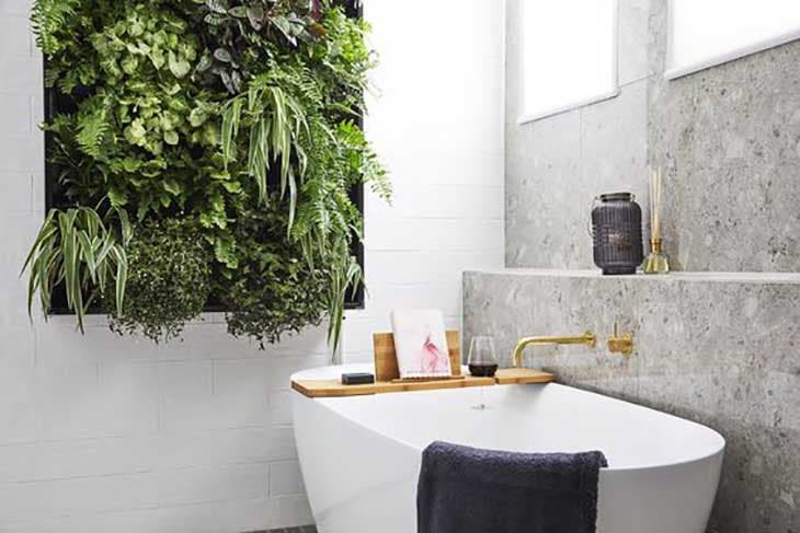 Adorna la pared con plantas.