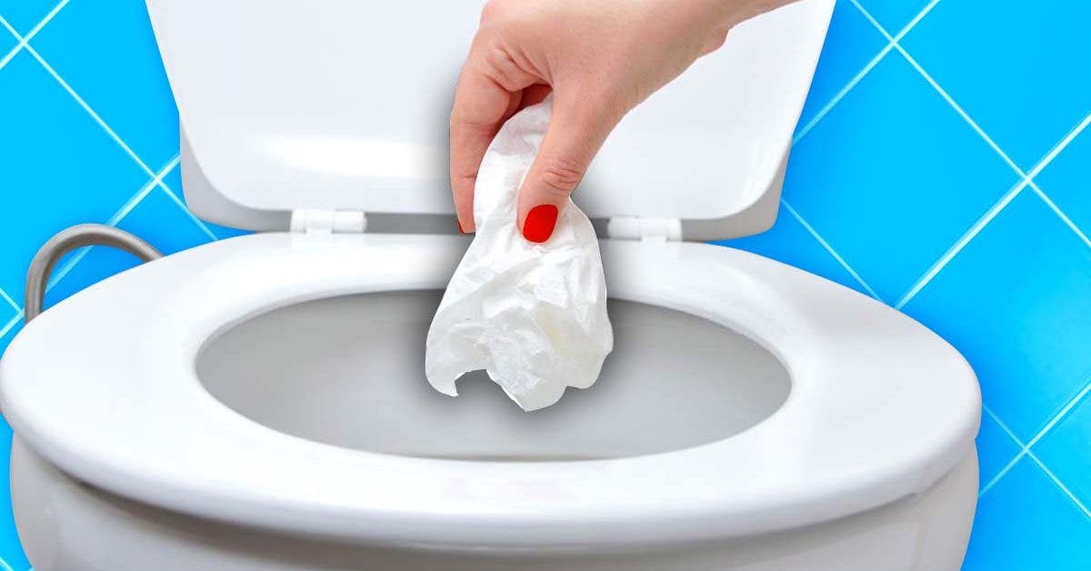 On a testé le rouleau de papier toilette qui se jette dans la cuvette