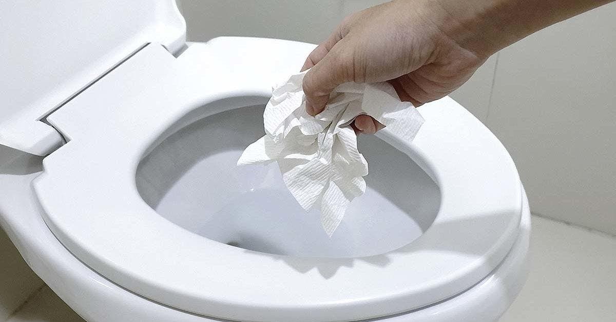 Papier toilette faites attention à ce détail pour éviter de boucher vos canalisations