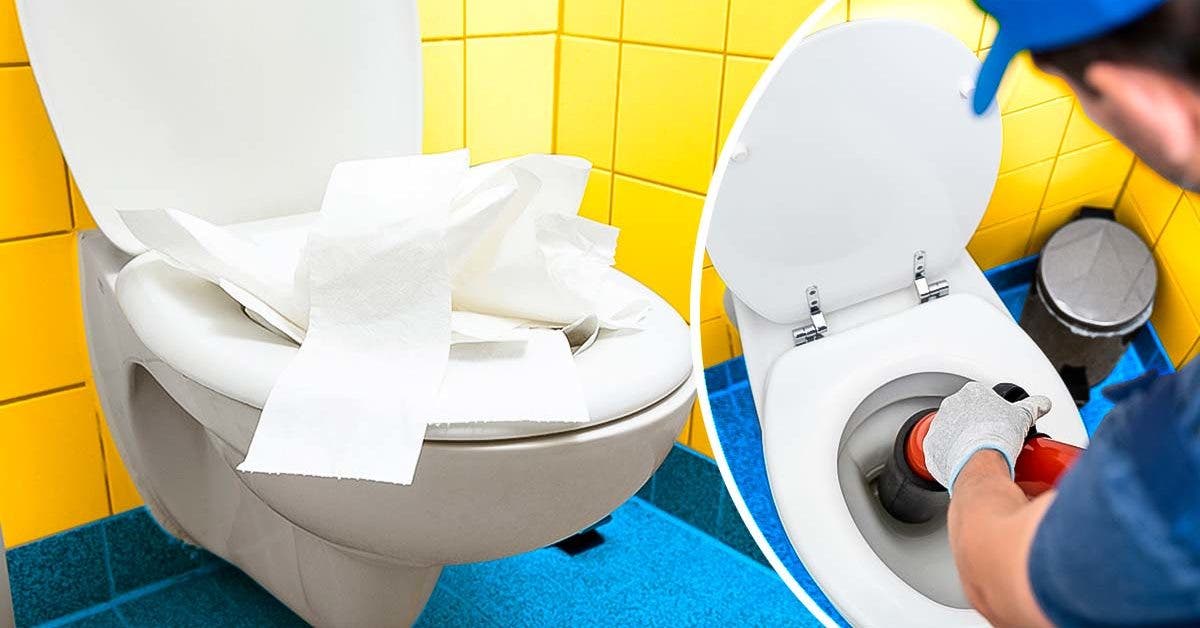 Comment déboucher des toilettes sans déboucheur à WC ? - La Belle Adresse