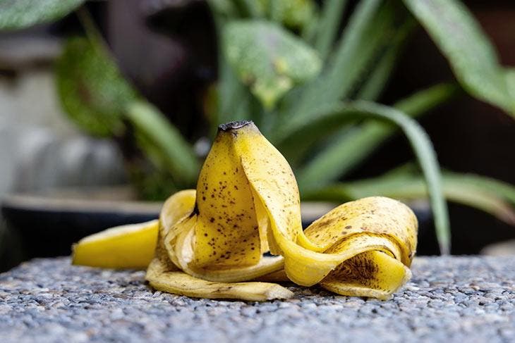 Peau de banane. source : spm