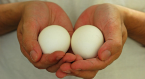Commencez à manger deux œufs par jour et ces sept changements arriveront à votre corps