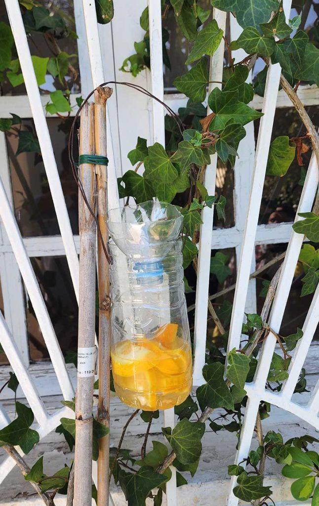 MJE Trappola Per Mosche Blu - Esa Ecologica, Cattura Fino A 40.000 Mosche, Non Riutilizzabile